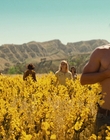 Filename=Bad_Times_at_the_El_Royale_mp45774.jpg
Filesize=1052KiB
Dimensions=1920x804
Date added=Aug 04, 2021 Bad_Times_at_the_El_Royale_mp45774.jpg