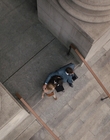 Filename=On_The_Basis_Of_Sex_mp46710.jpg
Filesize=1085KiB
Dimensions=1920x1036
Date added=Aug 04, 2021 On_The_Basis_Of_Sex_mp46710.jpg