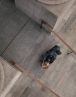 Filename=On_The_Basis_Of_Sex_mp46711.jpg
Filesize=1125KiB
Dimensions=1920x1036
Date added=Aug 04, 2021 On_The_Basis_Of_Sex_mp46711.jpg