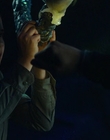 Filename=Pacific_Rim_Uprising_mp43280.jpg
Filesize=597KiB
Dimensions=1920x800
Date added=Aug 04, 2021 Pacific_Rim_Uprising_mp43280.jpg
