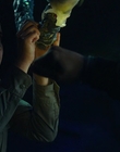 Filename=Pacific_Rim_Uprising_mp43281.jpg
Filesize=598KiB
Dimensions=1920x800
Date added=Aug 04, 2021 Pacific_Rim_Uprising_mp43281.jpg