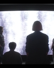 Filename=Devs_S01E02_mkv1904.jpg
Filesize=749KiB
Dimensions=1920x1080
Date added=Aug 06, 2021 Devs_S01E02_mkv1904.jpg