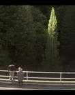 Filename=Devs_S01E07_mkv1208.jpg
Filesize=1023KiB
Dimensions=1920x1080
Date added=Aug 06, 2021 Devs_S01E07_mkv1208.jpg