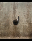 Filename=Devs_S01E07_mkv1296.jpg
Filesize=1216KiB
Dimensions=1920x1080
Date added=Aug 06, 2021 Devs_S01E07_mkv1296.jpg