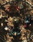 Filename=The_Craft_Legacy_mp41514.jpg
Filesize=1195KiB
Dimensions=1920x800
Date added=Aug 04, 2021 The_Craft_Legacy_mp41514.jpg