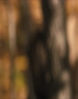 Filename=The_Craft_Legacy_mp41621.jpg
Filesize=668KiB
Dimensions=1920x800
Date added=Aug 04, 2021 The_Craft_Legacy_mp41621.jpg