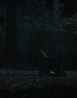 Filename=The_Craft_Legacy_mp44603.jpg
Filesize=563KiB
Dimensions=1920x800
Date added=Aug 04, 2021 The_Craft_Legacy_mp44603.jpg