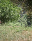 Filename=How_It_Ends_mp40406.jpg
Filesize=1707KiB
Dimensions=1920x1080
Date added=Aug 02, 2021 How_It_Ends_mp40406.jpg