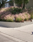 Filename=How_It_Ends_mp40771.jpg
Filesize=1439KiB
Dimensions=1920x1080
Date added=Aug 02, 2021 How_It_Ends_mp40771.jpg