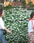 Filename=How_It_Ends_mp40850.jpg
Filesize=1421KiB
Dimensions=1920x1080
Date added=Aug 02, 2021 How_It_Ends_mp40850.jpg