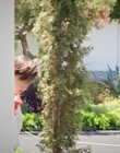 Filename=How_It_Ends_mp42674.jpg
Filesize=1157KiB
Dimensions=1920x1080
Date added=Aug 02, 2021 How_It_Ends_mp42674.jpg