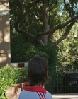 Filename=How_It_Ends_mp42839.jpg
Filesize=1437KiB
Dimensions=1920x1080
Date added=Aug 02, 2021 How_It_Ends_mp42839.jpg