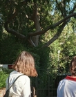 Filename=How_It_Ends_mp42849.jpg
Filesize=1477KiB
Dimensions=1920x1080
Date added=Aug 02, 2021 How_It_Ends_mp42849.jpg