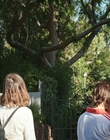 Filename=How_It_Ends_mp42850.jpg
Filesize=1479KiB
Dimensions=1920x1080
Date added=Aug 02, 2021 How_It_Ends_mp42850.jpg
