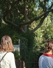 Filename=How_It_Ends_mp42851.jpg
Filesize=1467KiB
Dimensions=1920x1080
Date added=Aug 02, 2021 How_It_Ends_mp42851.jpg