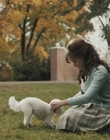 Filename=Priscilla_mkv2541.jpg
Filesize=995KiB
Dimensions=1920x1040
Date added=Dec 27, 2023 Priscilla_mkv2541.jpg
