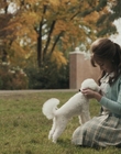 Filename=Priscilla_mkv2542.jpg
Filesize=977KiB
Dimensions=1920x1040
Date added=Dec 27, 2023 Priscilla_mkv2542.jpg