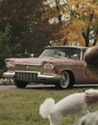 Filename=Priscilla_mkv2546.jpg
Filesize=993KiB
Dimensions=1920x1040
Date added=Dec 27, 2023 Priscilla_mkv2546.jpg