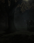 Filename=Priscilla_mkv3228.jpg
Filesize=377KiB
Dimensions=1920x1040
Date added=Dec 27, 2023 Priscilla_mkv3228.jpg