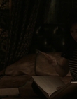 Filename=Priscilla_mkv3363.jpg
Filesize=506KiB
Dimensions=1920x1040
Date added=Dec 27, 2023 Priscilla_mkv3363.jpg