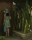 Filename=Priscilla_mkv4031.jpg
Filesize=905KiB
Dimensions=1920x1040
Date added=Dec 27, 2023 Priscilla_mkv4031.jpg