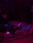 Filename=Priscilla_mkv4730.jpg
Filesize=502KiB
Dimensions=1920x1040
Date added=Dec 27, 2023 Priscilla_mkv4730.jpg