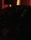 Filename=Priscilla_mkv6217.jpg
Filesize=301KiB
Dimensions=1920x1040
Date added=Dec 27, 2023 Priscilla_mkv6217.jpg