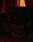 Filename=Priscilla_mkv6221.jpg
Filesize=409KiB
Dimensions=1920x1040
Date added=Dec 27, 2023 Priscilla_mkv6221.jpg