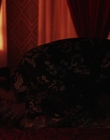 Filename=Priscilla_mkv6225.jpg
Filesize=451KiB
Dimensions=1920x1040
Date added=Dec 27, 2023 Priscilla_mkv6225.jpg