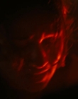 Filename=2024_-_Alien_Romulus_mkv4723.jpg
Filesize=173KiB
Dimensions=1920x800
Date added=Dec 21, 2024 2024_-_Alien_Romulus_mkv4723.jpg