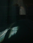 Filename=2024_-_Alien_Romulus_mkv6062.jpg
Filesize=197KiB
Dimensions=1920x800
Date added=Dec 21, 2024 2024_-_Alien_Romulus_mkv6062.jpg