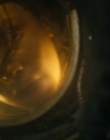 Filename=2024_-_Alien_Romulus_mkv6511.jpg
Filesize=275KiB
Dimensions=1920x800
Date added=Dec 21, 2024 2024_-_Alien_Romulus_mkv6511.jpg