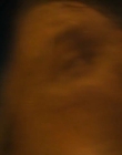 Filename=2024_-_Alien_Romulus_mkv6535.jpg
Filesize=154KiB
Dimensions=1920x800
Date added=Dec 21, 2024 2024_-_Alien_Romulus_mkv6535.jpg