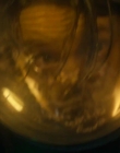 Filename=2024_-_Alien_Romulus_mkv6547.jpg
Filesize=289KiB
Dimensions=1920x800
Date added=Dec 21, 2024 2024_-_Alien_Romulus_mkv6547.jpg